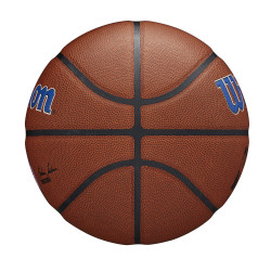 Wilson NBA Team Alliance Composite Basketball Detroit Pistons (sz. 7)