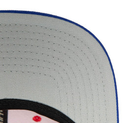 Mitchell & Ness Team 2 Tone 2.0 Snapback LACLIP - red/royal