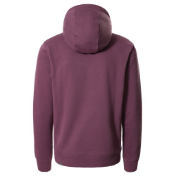 The North Face Drew Peak Pullover Hoodie Pikes Purple