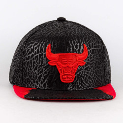 Mitchell & Ness NBA DAY 5 SNAPBACK CHICAGO BULLS BLACK / RED